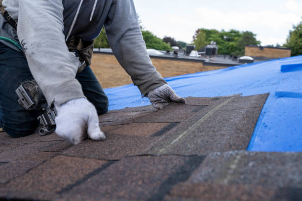 Residential Roof Replacement in Fulton, KY